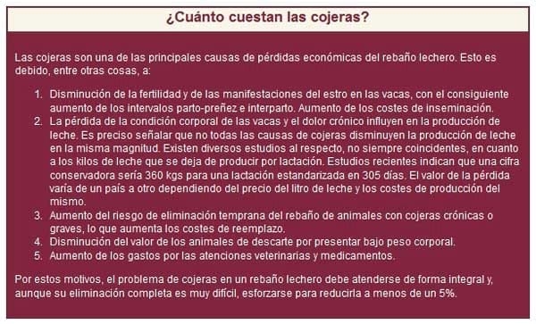 Lesiones podales en la vaca lechera - Image 1