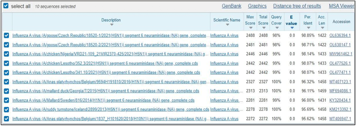 Identificación del Aislado de una Cepa del Virus de Influenza Aviar (AIV) H5N1 - Clado 2.3.4.4B en Perú - Image 5