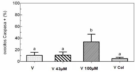 Modulación de lípidos de membrana en la vitrificación de ovocitos bovinos: patrón de Oct4 y estado apoptótico - Image 1