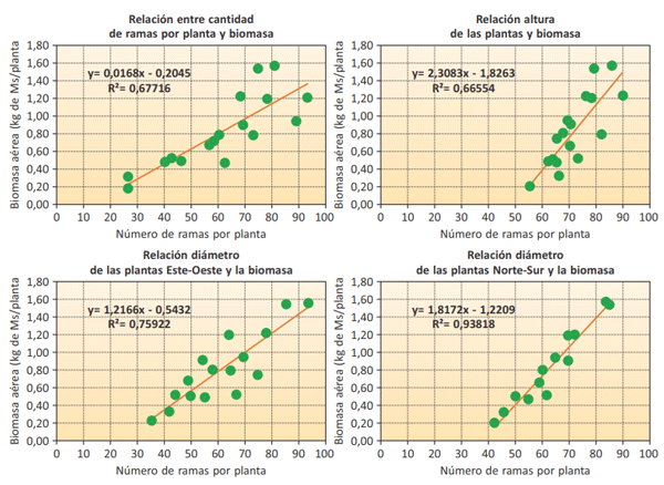 Figura 4. Relación entre la biomasa aérea (eje Y) y variables alométricas (eje X) de Atriplex nummularia.