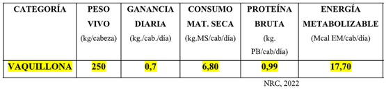 Dieta: Grano de cereal (cualquiera): ± 3 kg tal cual/cab/día Raicilla o pellet de Cebada (o su equivalente): ±1,5 kg tal cual/cab/día Fuente fibrosa (Rollo): ±2 kg tal cual/cab/día Sales minerales (a voluntad) OBSERVACIONES 	Esta categoría de animales debe ganar, al menos, 300 gramos diarios por animal, caso contrario se puede afectar significativamente su crecimiento y desarrollo futuro, provocado por una baja concentración en sangre de la hormona de crecimiento. 4.- VAQUILLONAS DE REPOSICIÓN Peso vivo: ±250 kg/animal Ganancia diaria de peso “estimada”: ±0,7 kg/cabeza/día