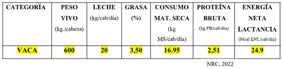 2.- VACA LECHERA EN PRODUCCIÓN
