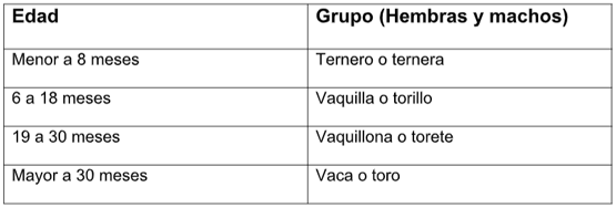 Clasificación del ganado bovino por edad y sexo.