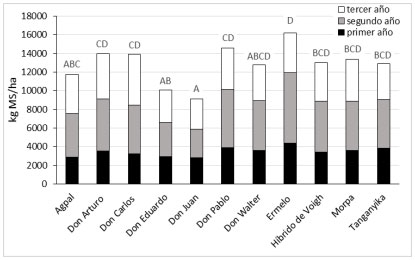 Figura 1. Producción de forraje (kg MS/ha) por año y acumulado total de 3 años evaluados de cultivares de pasto llorón (Tanganyika (T), Ermelo (E), Agpal (A), Morpa (M), Híbrido de Voigh (HV) y Don Arturo (DA), Don Walter (DW), Don Juan (DJ), Don Eduardo (DE) y Don Pablo (DP), Don Carlos (DC)). Letras mayúsculas iguales indican que no hay diferencias significativas (DMS, p< 0,05) entre medias de producción de forraje acumulado en los 3 años.