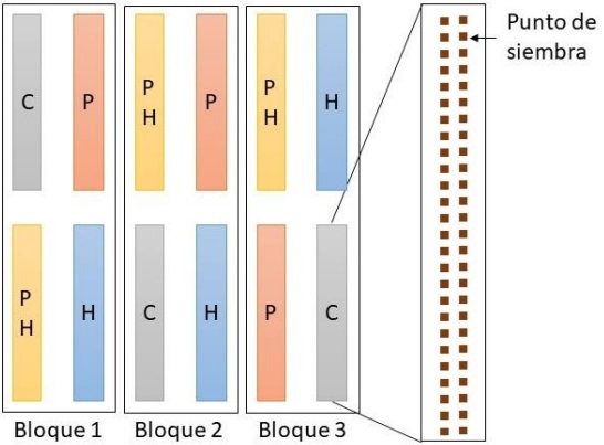 ¿Puede el peletizado y el uso de hidrogel mejorar la implantación de Festuca pallescens en condiciones naturales? Comunicación - Image 1