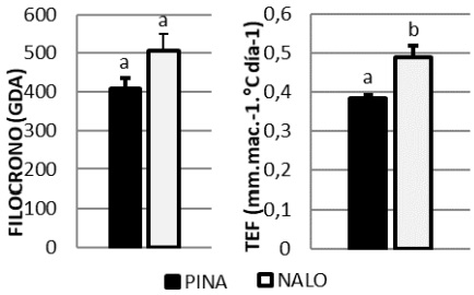 Comparación de variables morfogenéticas de dos gramíneas forrajeras nativas del sur del Caldenal. Comunicación - Image 1