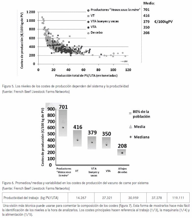 Costes de producción del vacuno de carne en Francia: Competitividad, rentabilidad y estrategias de los ganaderos - Image 5