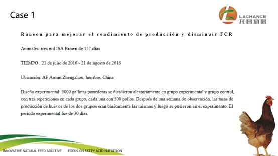 La importancia de la protección del hígado en gallinas ponedoras - Image 2