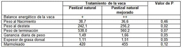 La nutrición de la vaca de cría durante la gestación afecta la performance de la progenie en la vida adulta - Image 3