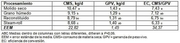 El sorgo como forraje, silaje y grano para una ganadería cada vez más exigente - Image 13