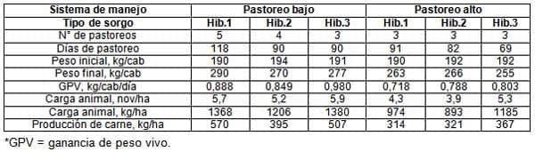 El sorgo como forraje, silaje y grano para una ganadería cada vez más exigente - Image 3