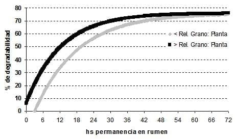 El sorgo como forraje, silaje y grano para una ganadería cada vez más exigente - Image 5