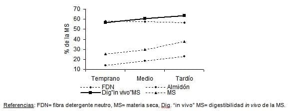 El sorgo como forraje, silaje y grano para una ganadería cada vez más exigente - Image 6