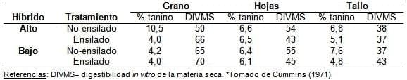 El sorgo como forraje, silaje y grano para una ganadería cada vez más exigente - Image 8