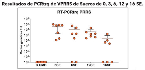  RESULTADOS DE PCR
