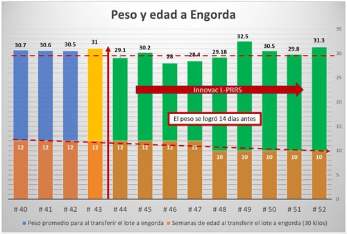ESO Y EDAD A ENGORDA