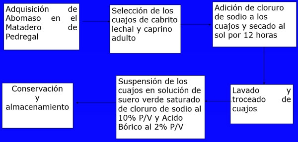 Primera Fase: Elaboración de los Cuajos
