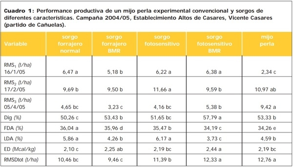 Mijo perla, un verdeo estival para tener en cuenta - Image 1