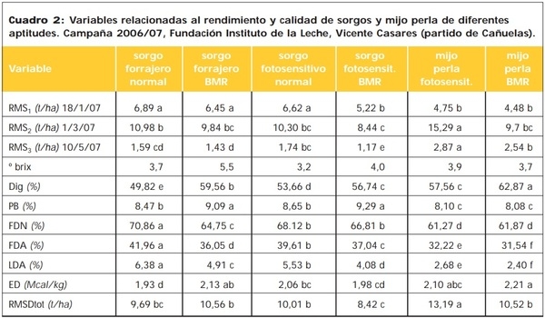 Mijo perla, un verdeo estival para tener en cuenta - Image 2