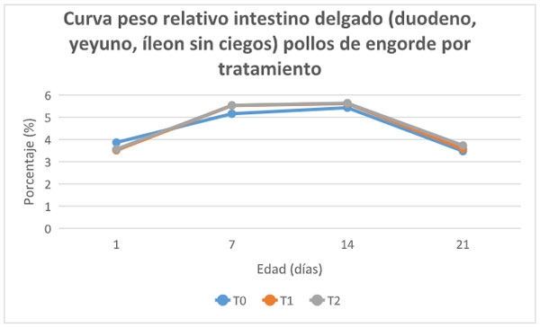 Grafica 4. Curva peso relativo intestino delgado por tratamiento en pollos de engorde