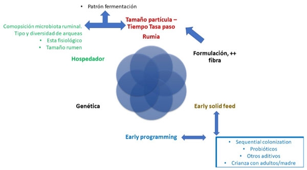 Estrategias nutricionales para reducir la producción Metano entérico (rumiantes) - Image 1