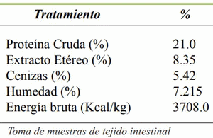 Expresión molecular de villina en yeyuno de lechones destetados tras ingesta oral de LPS de E. coli - Image 2
