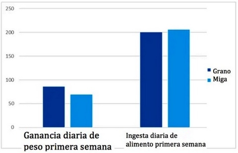 ¿Prestarter granulado o en migaja? - Image 1