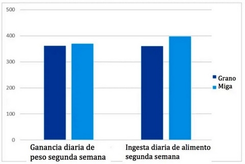 ¿Prestarter granulado o en migaja? - Image 2