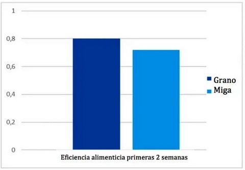¿Prestarter granulado o en migaja? - Image 3