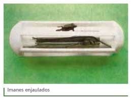 Reticuloperitonitis a cuerpo extraño - Image 11