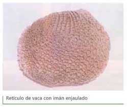 Reticuloperitonitis a cuerpo extraño - Image 6