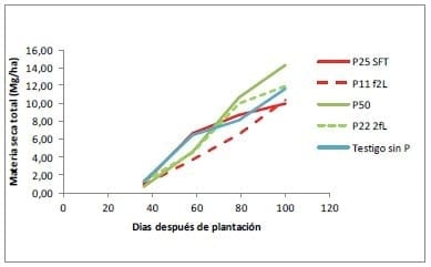 Fertilización Fosfatada del Cultivo de Papa, Resultados Campaña 2011-12 - Image 6