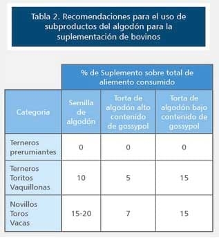Intoxicación por Gossypol en terneros - Image 3