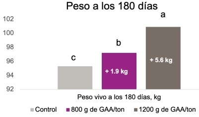 Efecto del ácido guanidinoacético, precursor de la creatina, en cerdas gestantes y lactantes - Image 9