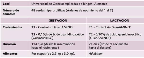 Efecto del ácido guanidinoacético, precursor de la creatina, en cerdas gestantes y lactantes - Image 1