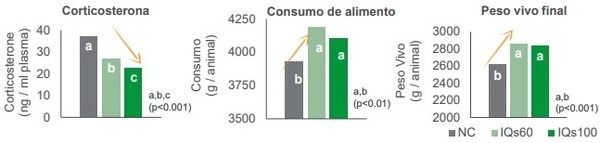 Estrés térmico en pollos de engorde: Parte I - Impacto en la salud intestinal - Image 3