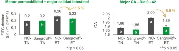 Estrés térmico en aves - impactos en la salud intestinal y el rendimiento - Image 3