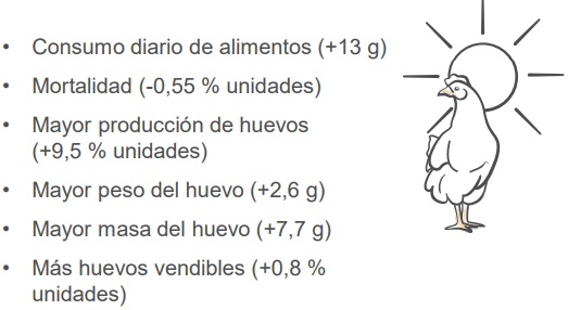 Estrés térmico en aves - impactos en la salud intestinal y el rendimiento - Image 2