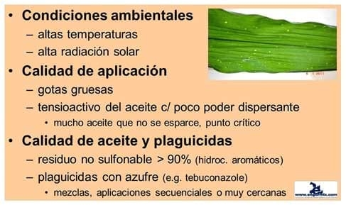 Ámbito de recomendación de aditivos o coadyuvantes en pulverizaciones agrícolas - Image 7
