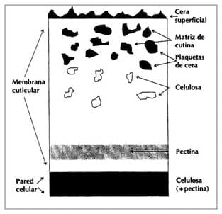 Ámbito de recomendación de aditivos o coadyuvantes en pulverizaciones agrícolas - Image 1