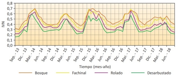 EL ROLADO Y DESMONTE MANUAL: ¿ CUÁLES SON LAS CONSECUENCIAS PARA EL ECOSISTEMA CUANDO SACAMOS LOS ARBUSTOS ? - Image 4
