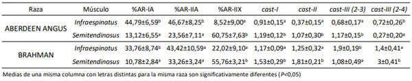Tabla 1. Medias y DE del porcentaje de área relativa (%AR) de cada tipo de fibra y expresión de isoformas de cast en dos músculos de novillos Aberdeen Angus y Brahman