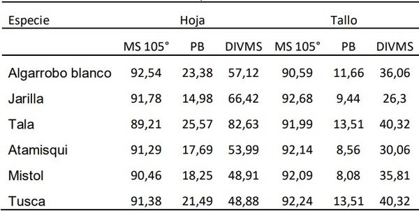Evaluación de especies leñosas nativas que pueden ser aprovechadas en la elaboración de suplementos para nutrición animal. Comunicación - Image 1
