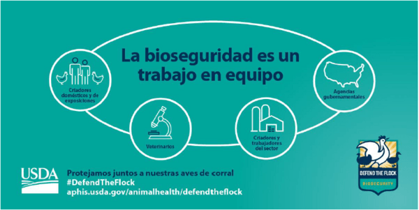 SI a la Bioseguridad, NO a la influenza aviar: Los 10 tips - Imagen 12