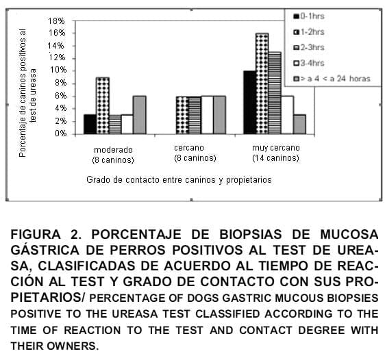 Relación entre el grado de contacto perro-propietario y la carga de helicobacterias en mucosa gástrica canina - Image 2