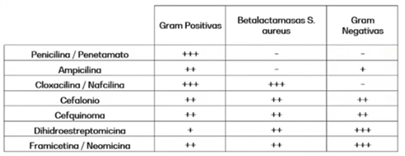 Importancia del manejo de vaca en seca para disminuir problemas de mastitis - Image 5