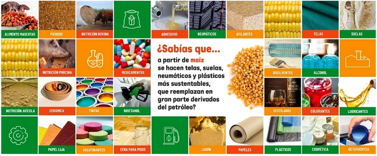 ¡Piedra libre para el maíz! - Image 4
