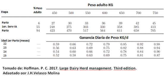 Tabla # 1. Benchmarks de crecimiento para vaquillas de diferente potencial de tamaño genético y edad al 1er parto.