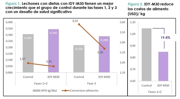 IDY-M30 puede reemplazar otras proteínas de alto valor y aumentar la resiliencia de lechones - Image 1