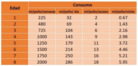 El Agua y su Estrecha Relación Agua–Alimento, en los Pollos de Engorda. (1ª Parte) - Image 3